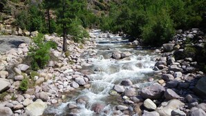 A river flowing through a rocky landscape with trees and a mountain in the background. - Auberge de la Foret (Calenzana)
