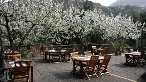 An outdoor dining area with wooden tables and chairs, surrounded by blooming trees and a mountainous backdrop. - Auberge de la Foret (Calenzana)