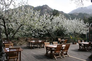 An outdoor dining area with wooden tables and chairs, surrounded by blooming trees and a mountainous backdrop. - Auberge de la Foret (Calenzana)
