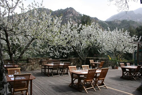 Auberge de la Foret