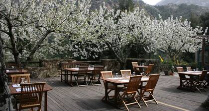 Auberge de la Foret