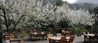 Auberge de la Foret