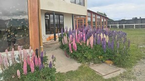 Een modern huis met twee verdiepingen, grote ramen en een tuin met paarse bloemen.
