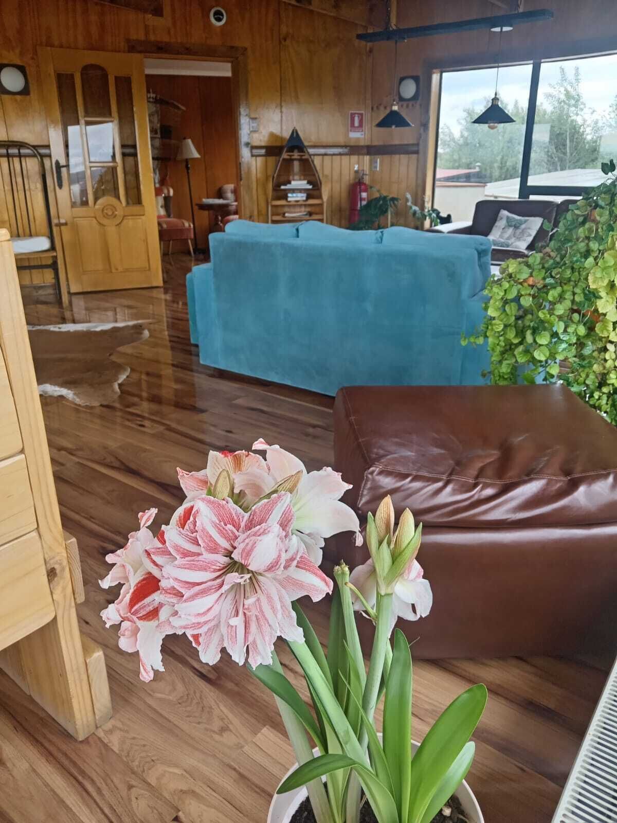 A cozy living room with a brown leather sofa, a blue covered table, and a wooden floor.