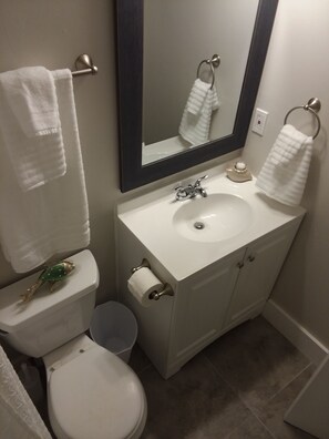 Combined shower/bathtub, towels