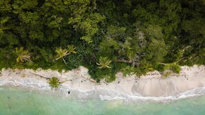 Vista aérea de una playa con aguas turquesas cristalinas, abundante follaje verde y palmeras a lo largo de la costa.