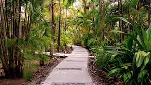 Un sendero serpentea por un exuberante jardín tropical, con palmeras y helechos.