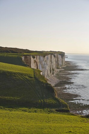 A coastal landscape with cliffs and a grassy foreground. - Appart Hotel de Paris (Ault)