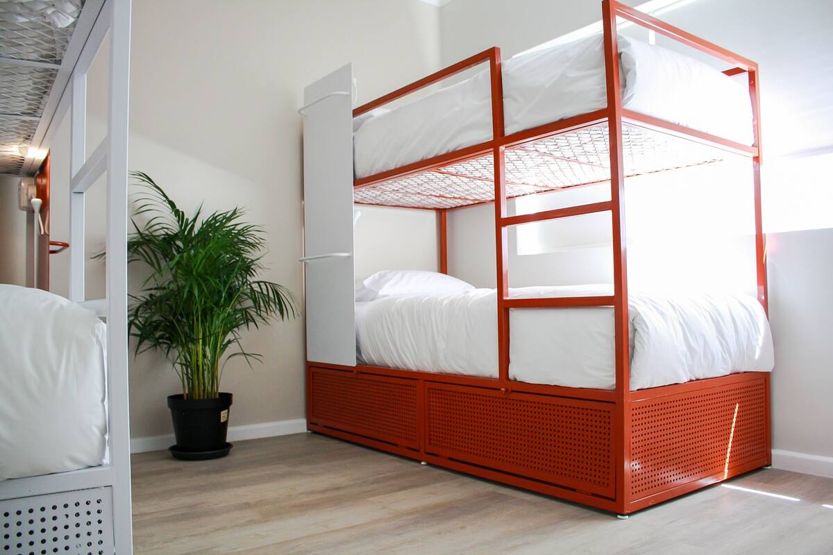 A bunk bed with a red frame, a potted plant, and a white wardrobe.