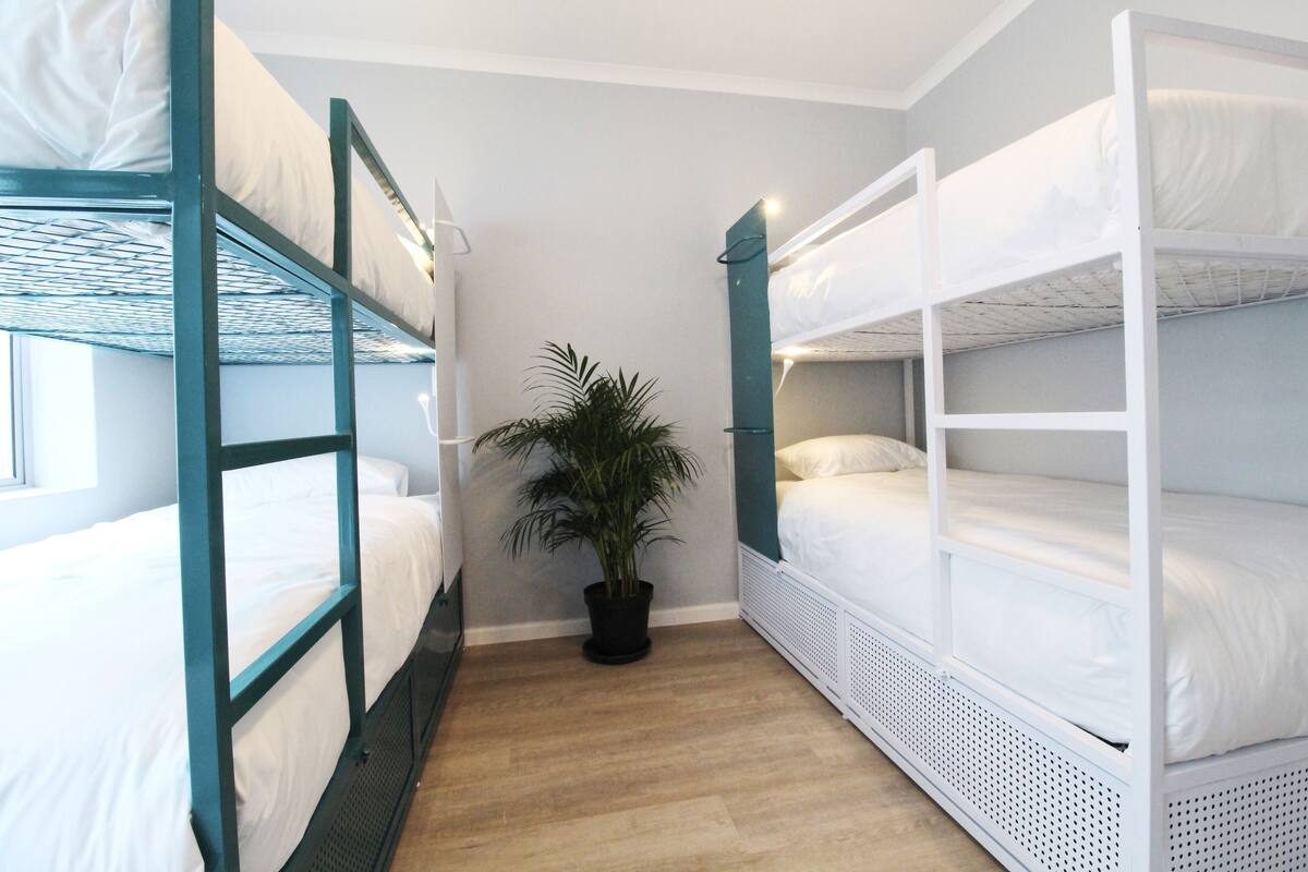 A dormitory room with bunk beds, a potted plant, and a window.