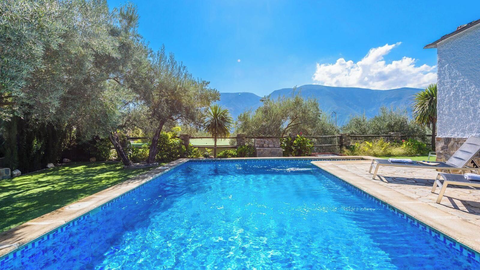 A rectangular swimming pool with clear blue water, surrounded by a stone deck and a stone wall. There are lounge chairs and a small palm tree in the background.