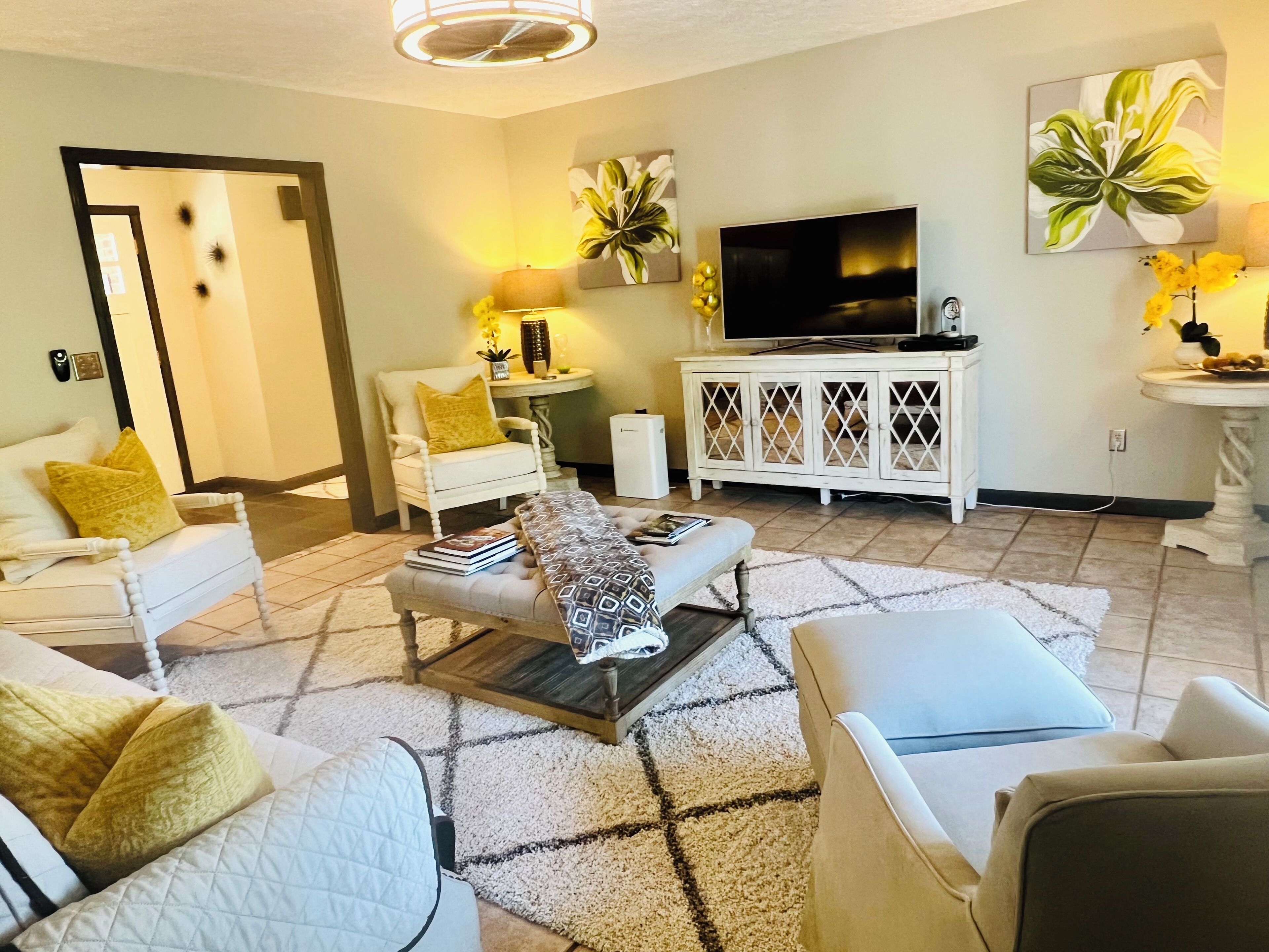 Smart TV, DVD player, books