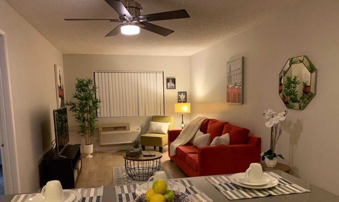 Basic Apartment | Living area | TV