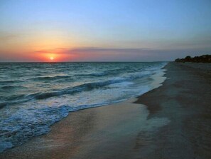 Playa en los alrededores y camastros 