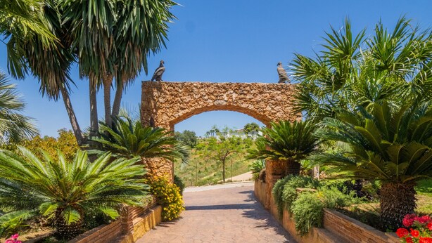 A stone archway leading to a pathway lined with palm trees and plants. - Cubo's Finca Los Dragos. Pool, wifi and AC/heating (Alhaurín el Grande)