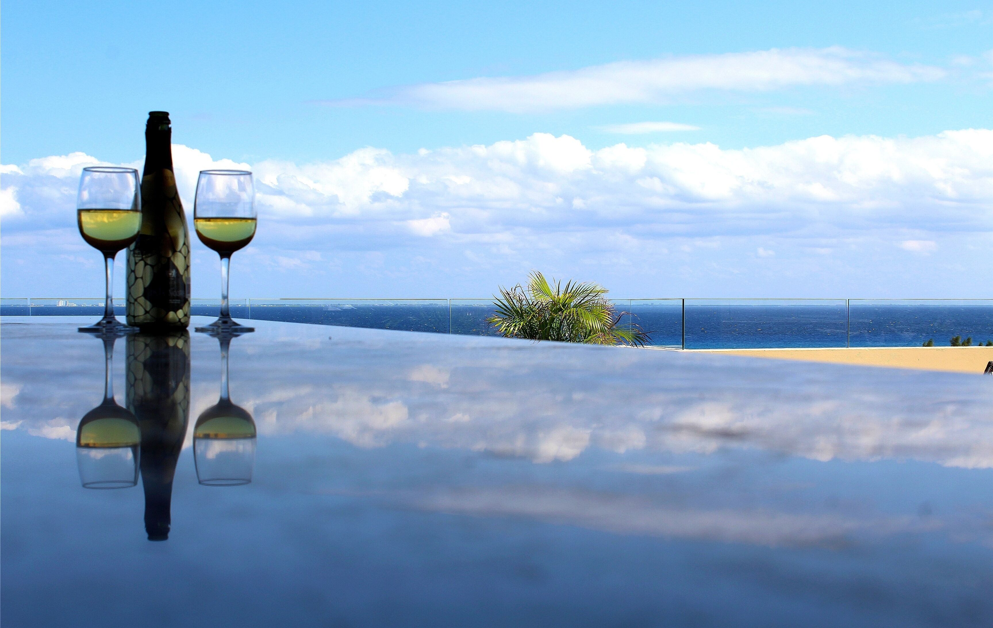 Una mesa con una botella y dos copas de vino, una palmera y vista al océano.