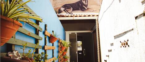 A narrow alleyway with a blue wall, wooden fence, and potted plants.