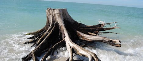 Beach nearby, beach towels