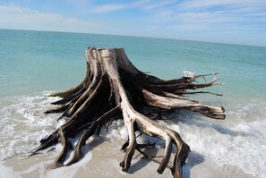 Beach nearby, beach towels