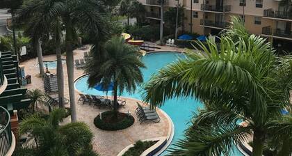 Si hay voluntad, hay una ola!