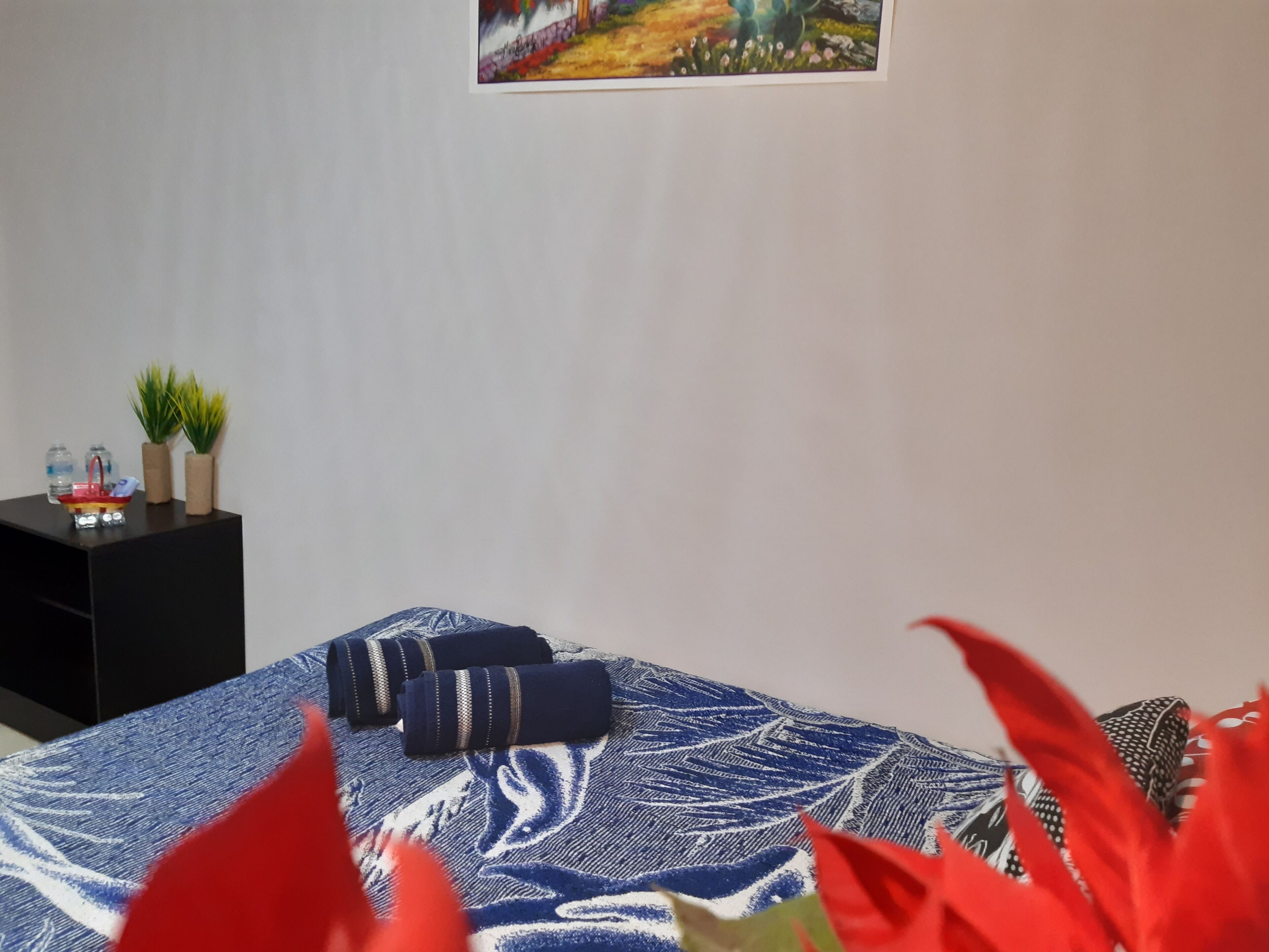 Foto - Alameda House