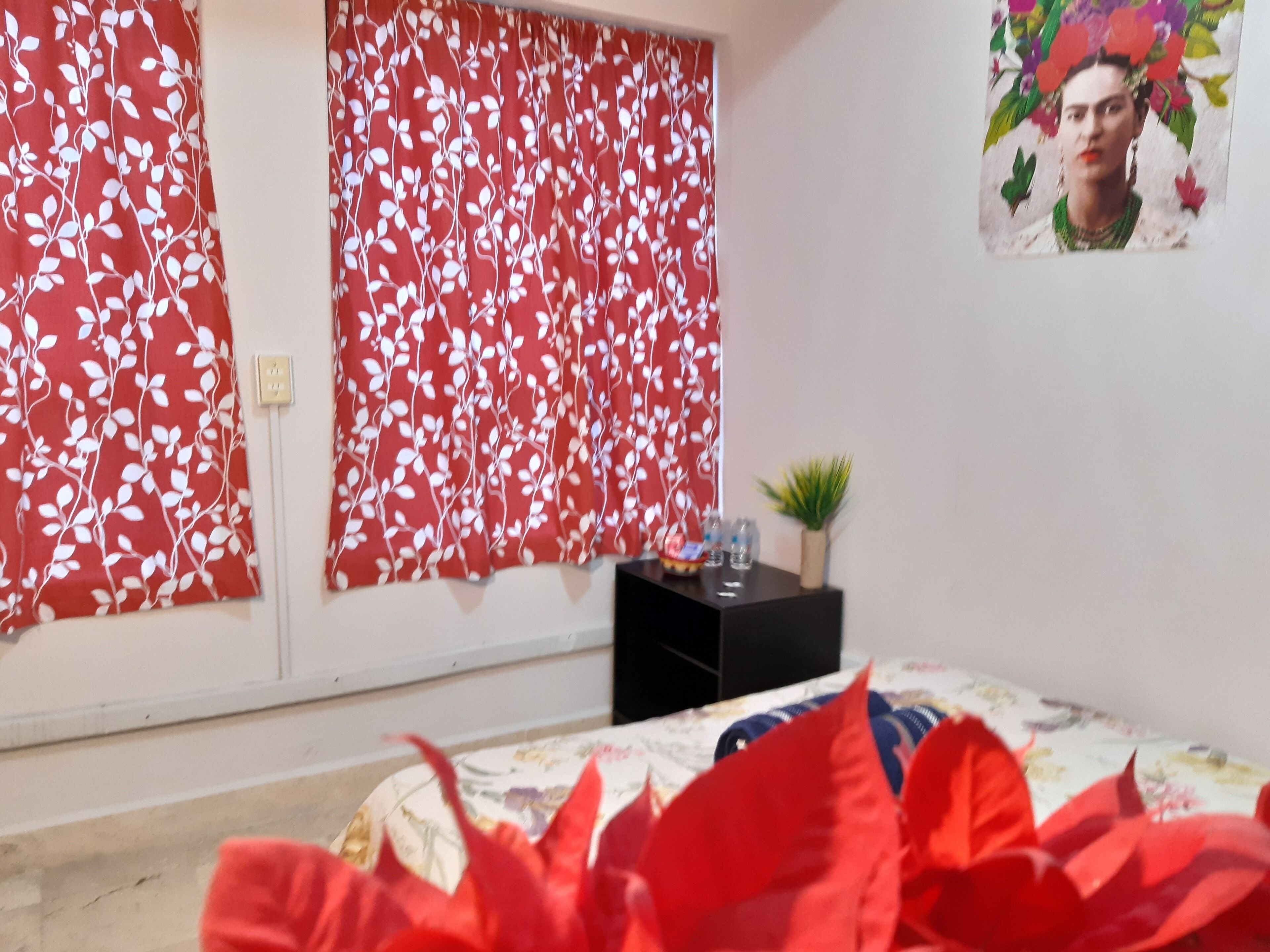 Foto - Alameda House