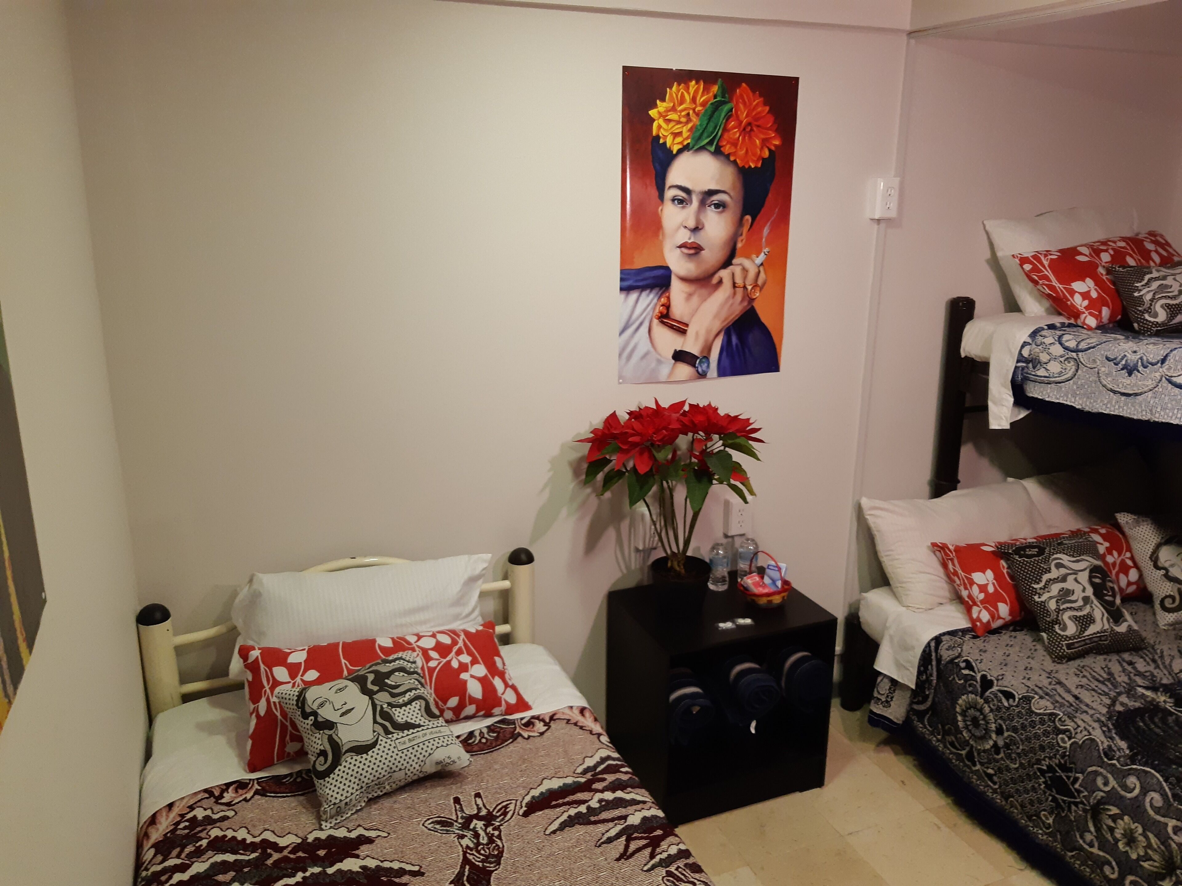 Foto - Alameda House