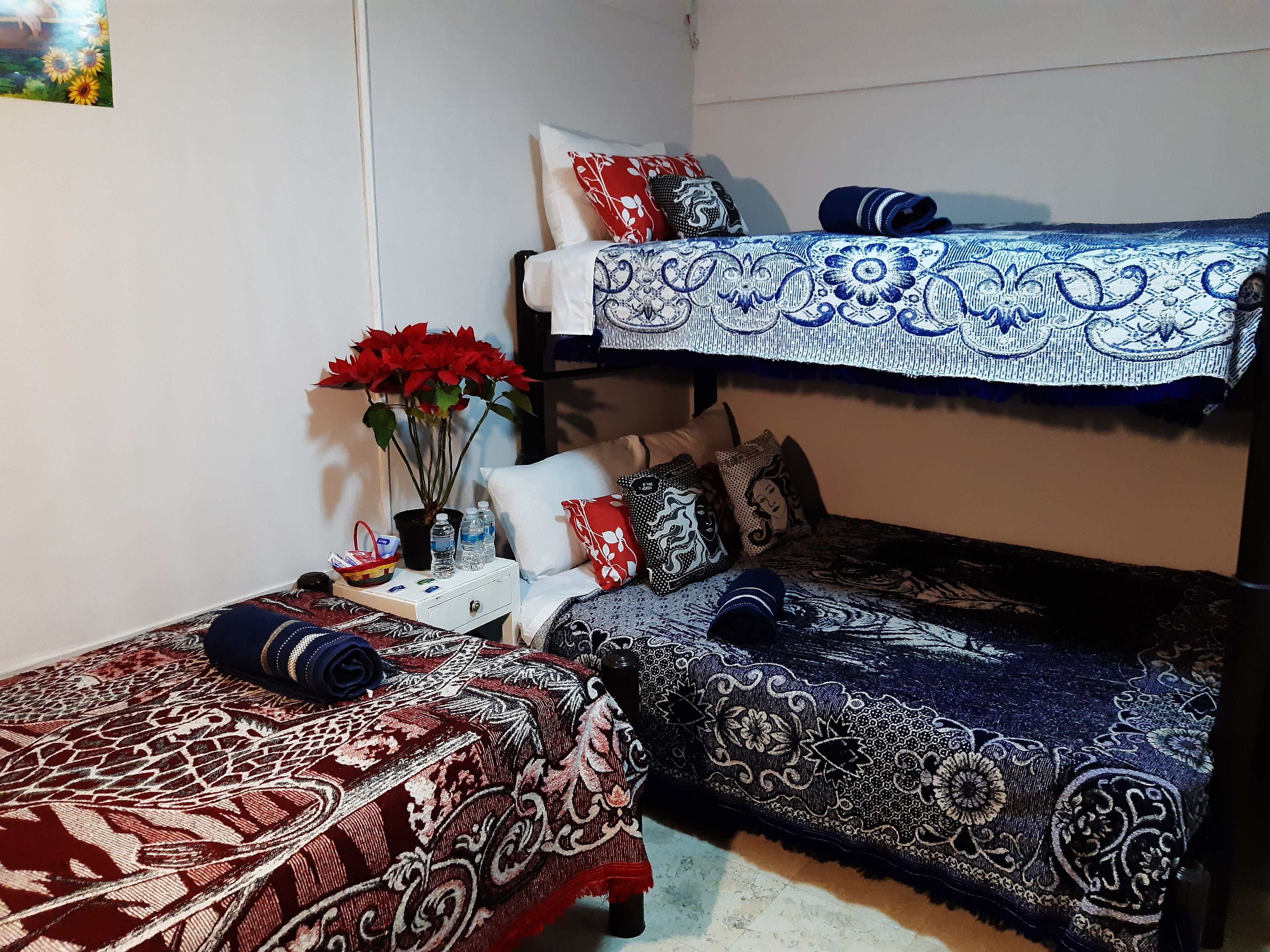 Foto - Alameda House