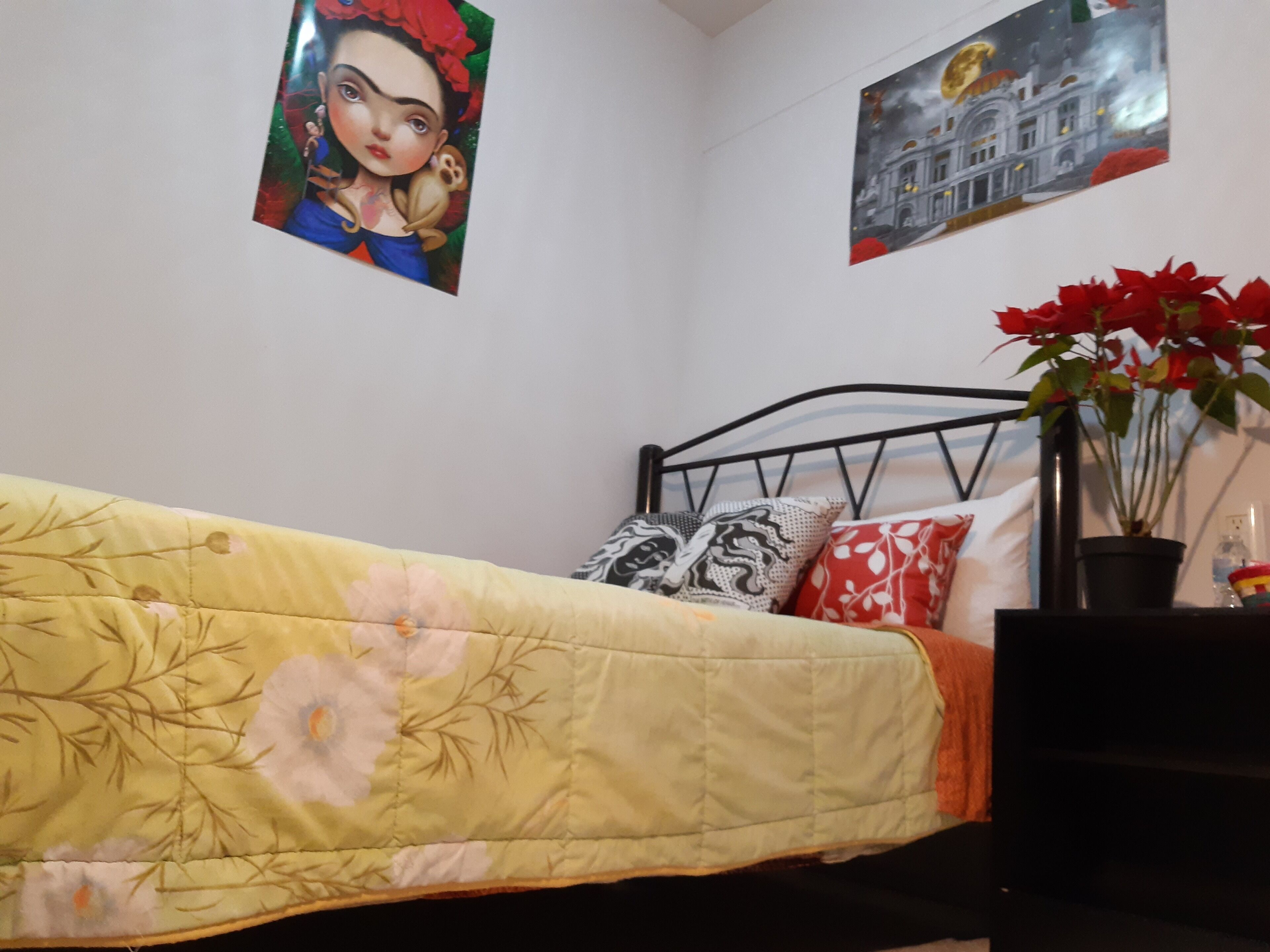 Foto - Alameda House