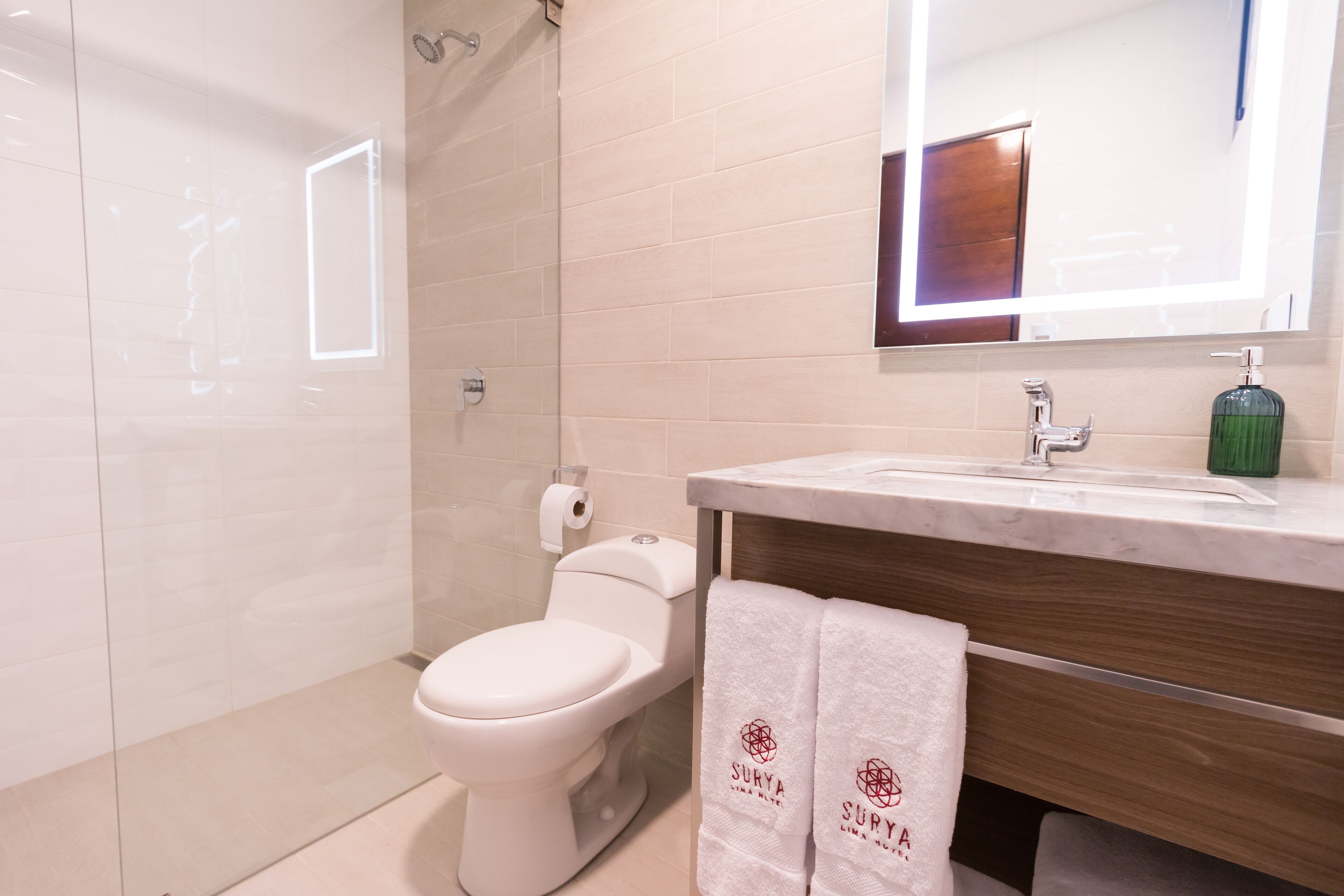 shower, rainfall showerhead, free toiletries, hair dryer