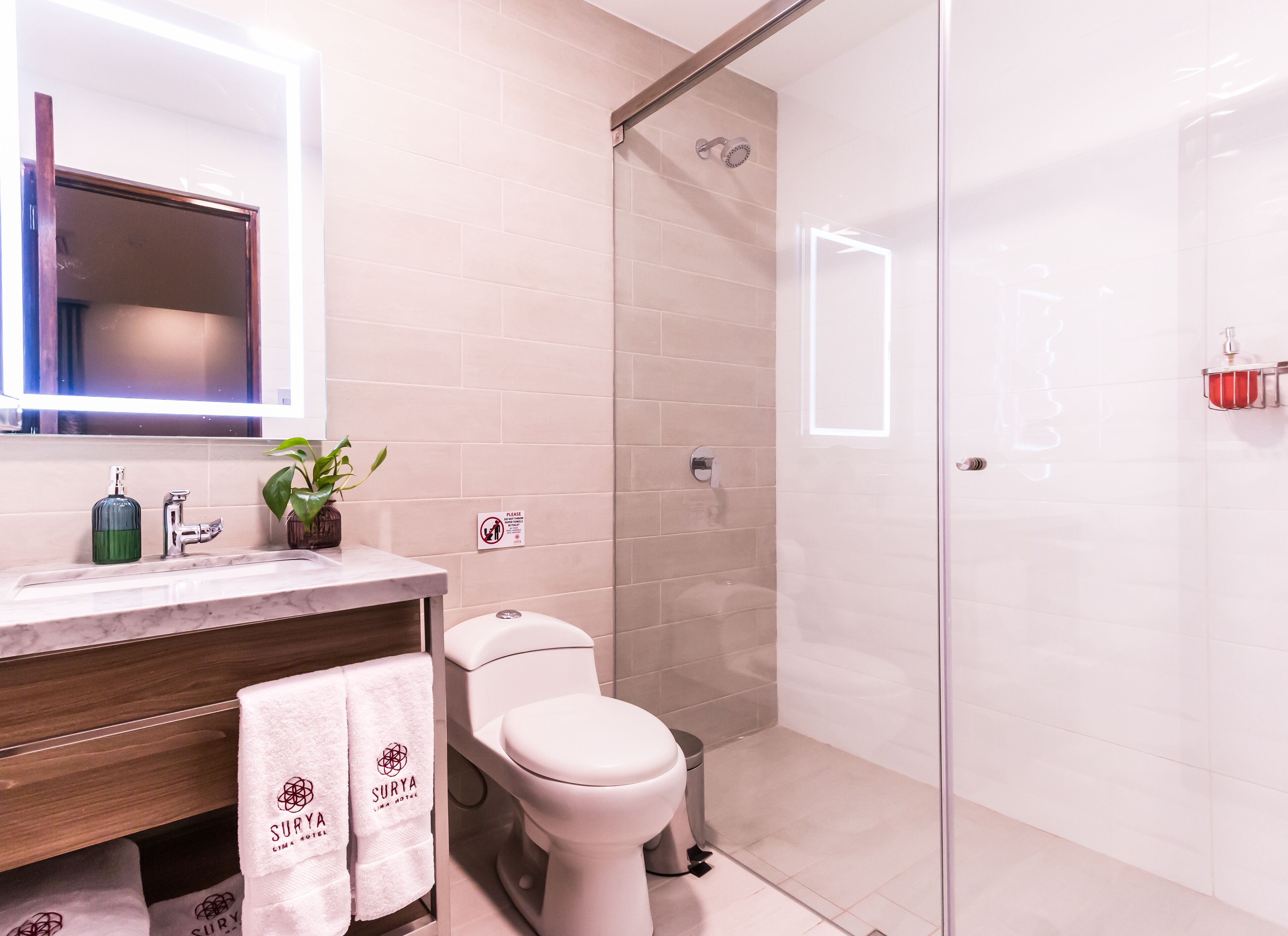 shower, rainfall showerhead, free toiletries, hair dryer