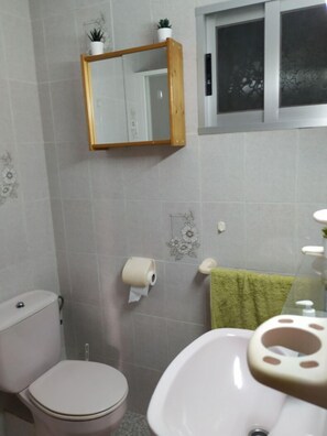 Regadera, secadora de cabello, bidet, toallas 