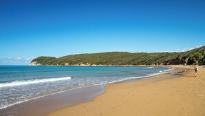 Une plage avec un rivage sablonneux, une eau calme et un paysage vallonné en arrière-plan.