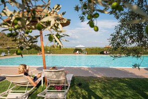 Pool - Holiday apartment mit Klimaanlage und Pool (Suvereto)