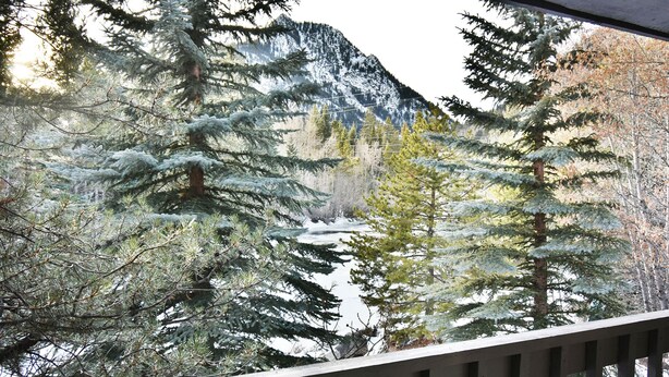 Une vue d’une zone boisée, avec des arbres couverts de neige et une montagne en arrière-plan.