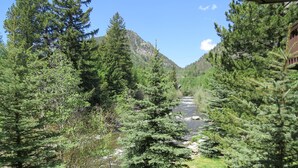 Une zone boisée traversée par une rivière, avec des arbres denses et une montagne en arrière-plan.