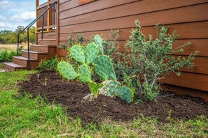 Een houten huis met een tuin, met een cactus en kleine struiken.