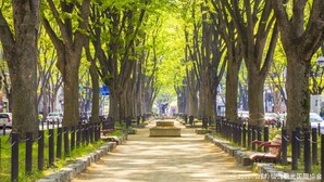 A tree-lined pathway with benches and a central planter. - Hotel Grand Bach Sendai (Sendai)