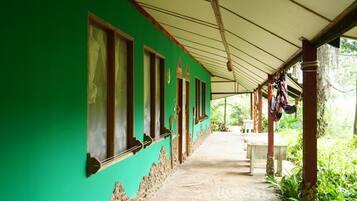 Basic Room | Terrace/patio