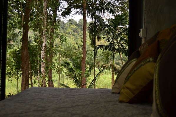 Deluxe-bungalow, 1 makuuhuone, oma kylpyhuone, jokinäköala | Näkymä puutarhaan