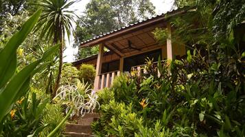 Jardín