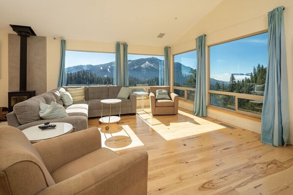 Smart TV, fireplace, video library