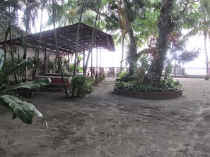 Property grounds - NEWLY RENOVATED!!! Felipa Beach - Kalachuchi (Dumaguete)