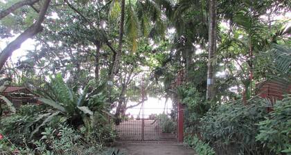 NEWLY RENOVATED!!! Felipa Beach - Kalachuchi