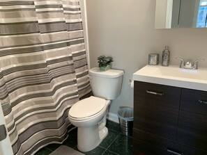 Combined shower/tub, hair dryer, towels, soap