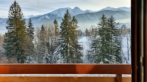 A view from a balcony with snow-covered trees and mountains in the background. - Suite with Mountain View | Gym | Sauna. (Koscielisko)