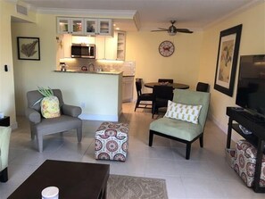 تلفزيون، مشغل دي في دي