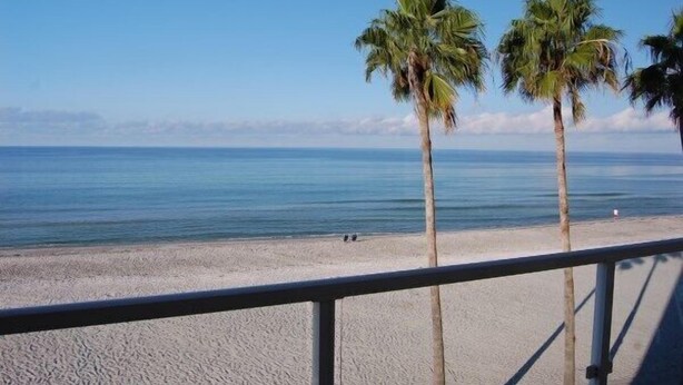 A beach with white sand and calm blue water. There are palm trees and a clear sky. - Beachcomber unit 302 (Longboat Key)