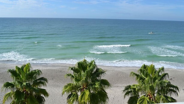 A beach with palm trees and a view of the ocean. - Beachcomber unit 604 (Longboat Key)