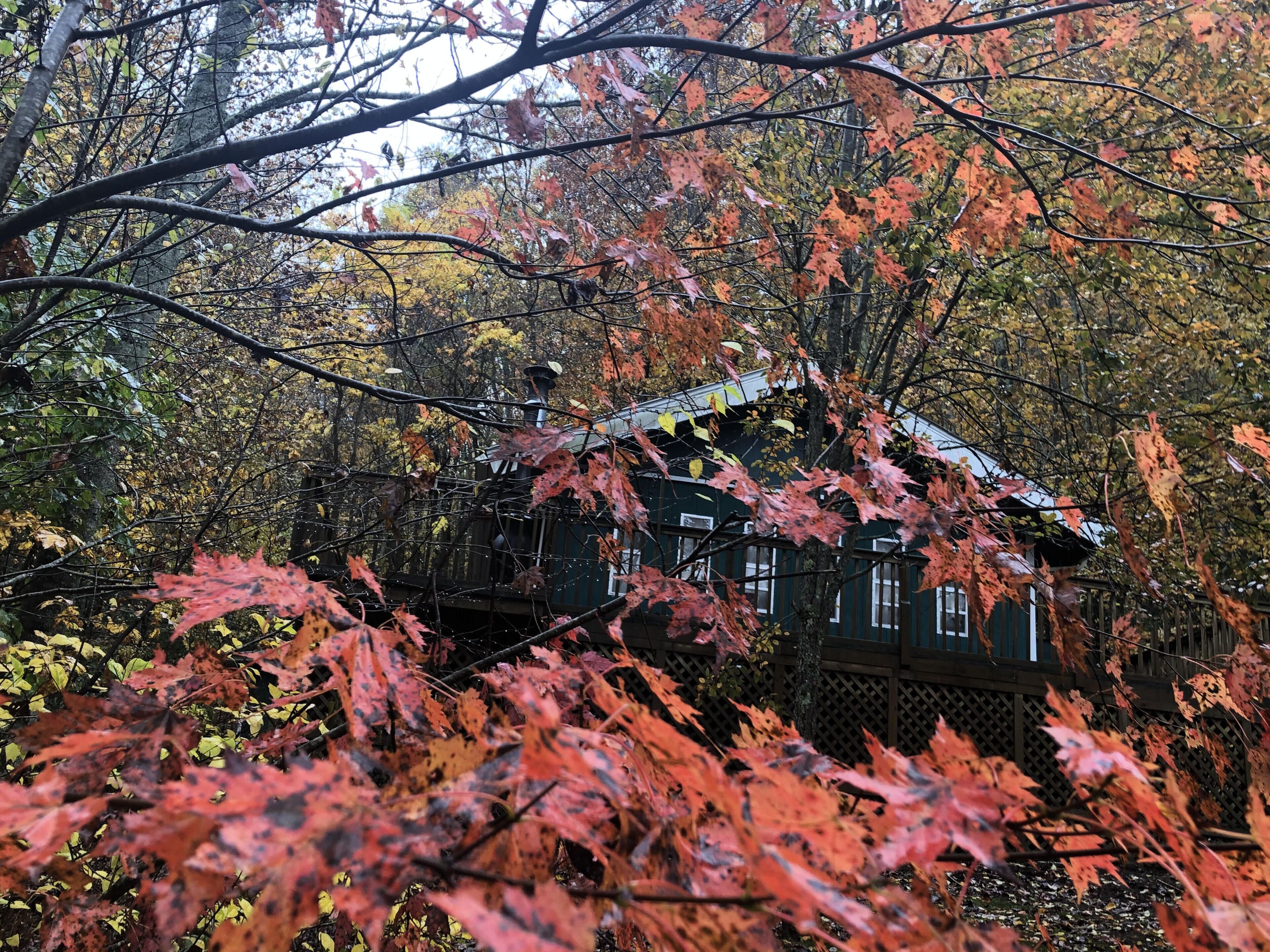 Falling Leaf Cabin - a true cabin in the woods in a private setting